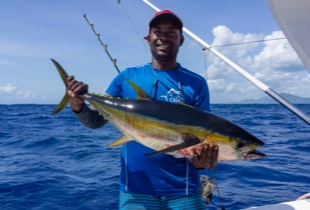 Keltaevätonnikala on mielenkiintoinen ja haastava saaliskala.