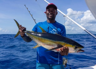 23 pounds Yellowfin Tuna