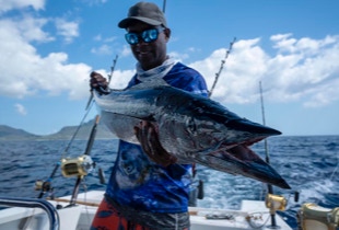 Wahoo on erittäin nopea ja voimakas kala, jonka väsyttäminen on mukavaa.